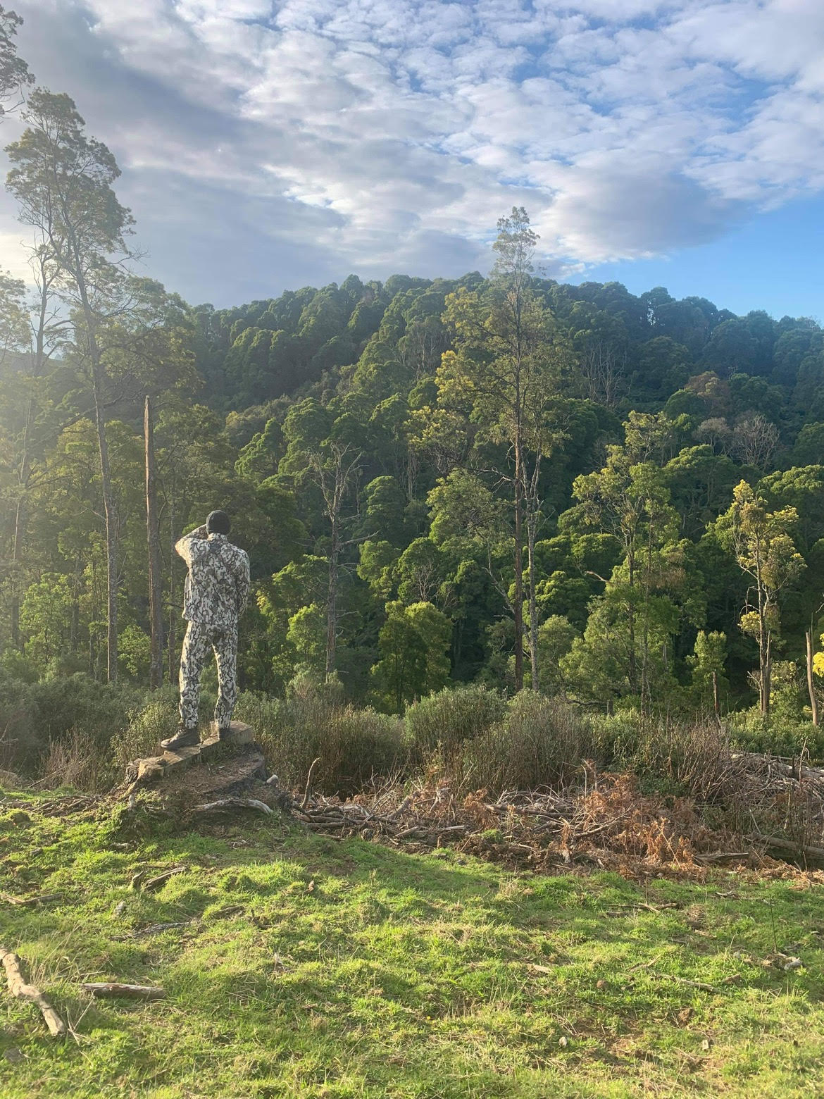 My Hunting Journey - by Tom Hughes